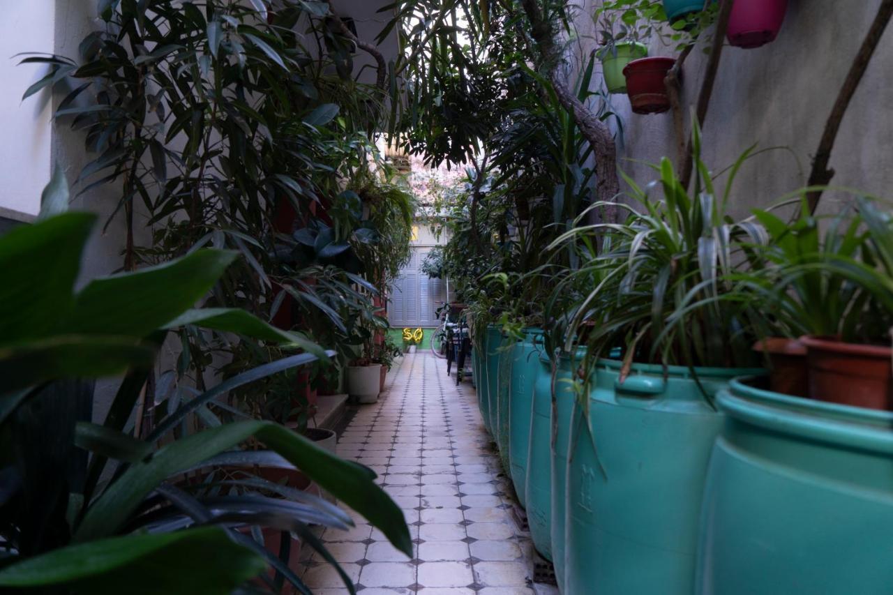 Pagration Youth Hostel Athens Ngoại thất bức ảnh